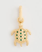 Chico's Turtle Charm