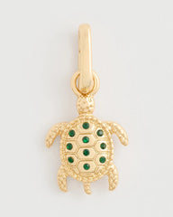 Chico's Turtle Charm