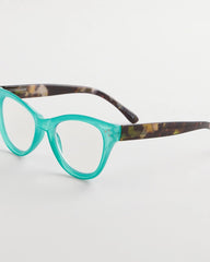 Chico's Teal Tortoise Readers